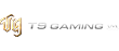 TG gaming provider logo